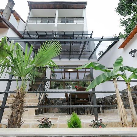 Отель Casa Marica Бэиле-Еркулане Экстерьер фото